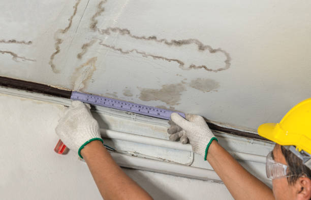 Reliable Mold Remediation contractor in Bowie, TX by Water Damage Irwin